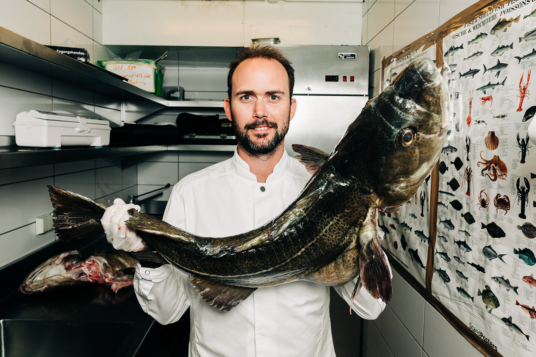 Kokk med fersk fisk på kjøkkenet — Bekkjarvik Gjestgiveri