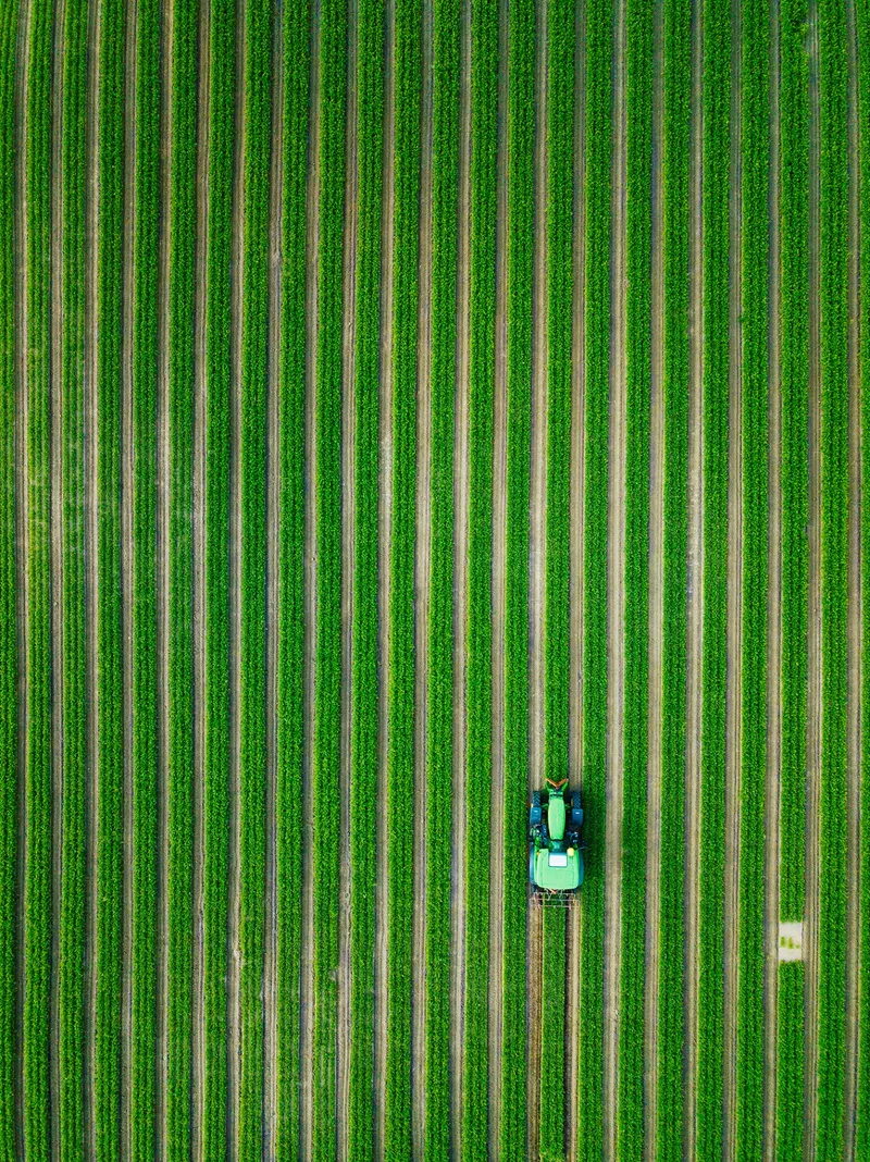 Ferkingstad Karmøy — gulrotåkrer fra luften, landskapsfoto
